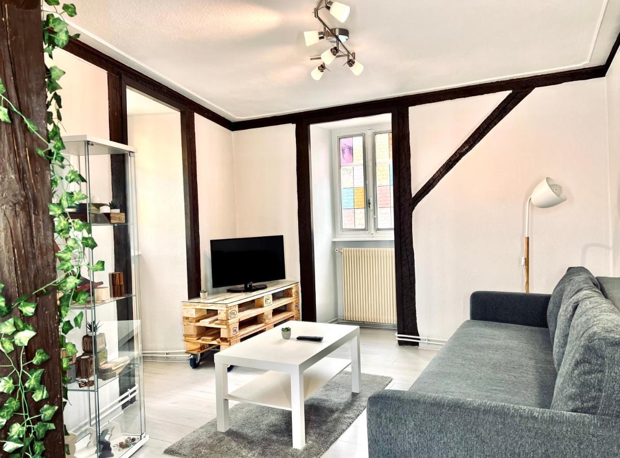 Seppala Charmant Appartement Colmar Exterior foto